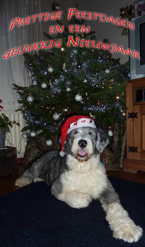 alex - kerstkaart